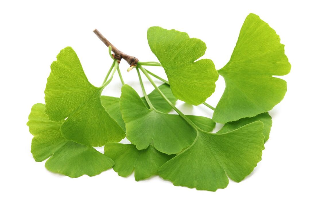 ginkgo biloba drops Alcozar